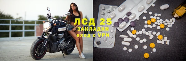 стаф Белоозёрский
