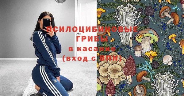 стаф Белоозёрский