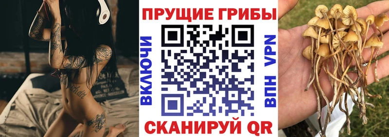 Псилоцибиновые грибы Magic Shrooms  Пыть-Ях 